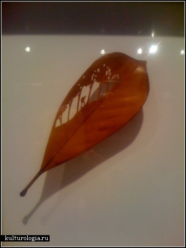 ���������� ��� ������ ���� (Mitsuru Koga)