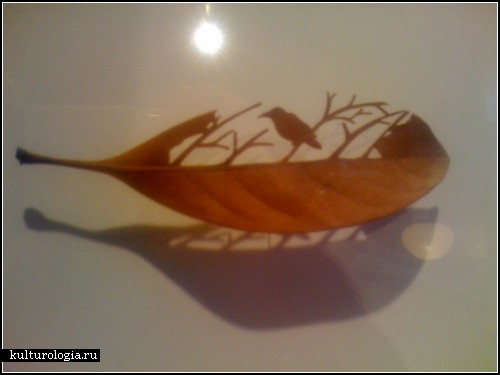 ���������� ��� ������ ���� (Mitsuru Koga)