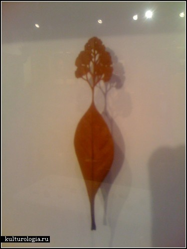 ���������� ��� ������ ���� (Mitsuru Koga)