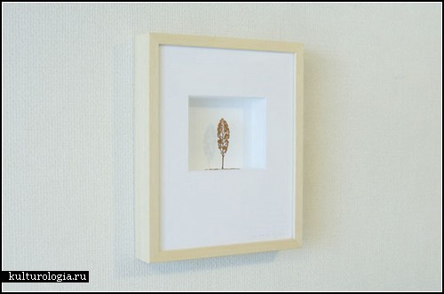 ���������� ��� ������ ���� (Mitsuru Koga)