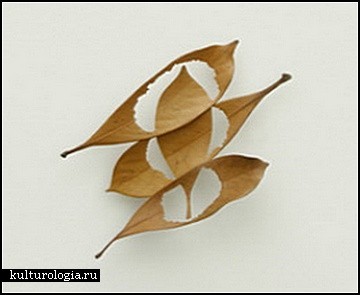 ���������� ��� ������ ���� (Mitsuru Koga)