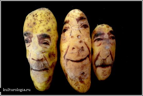 Картофельные портреты