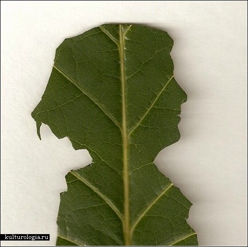 Силуэты из листьев художницы Дженни Ли Фаулер (Jenny Lee Fowler)