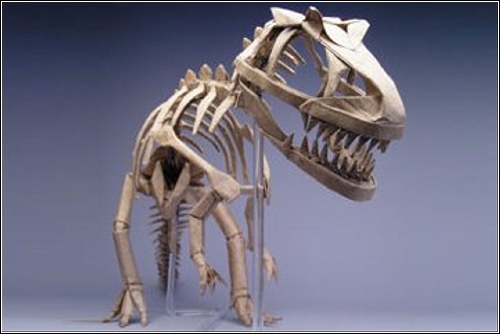 Скелет аллозавра от Robert J. Lang