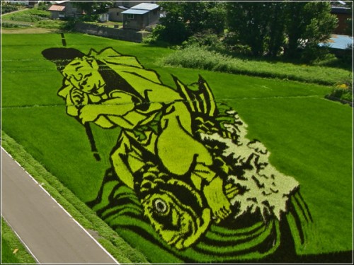 Креативные рисунки на рисовых полях