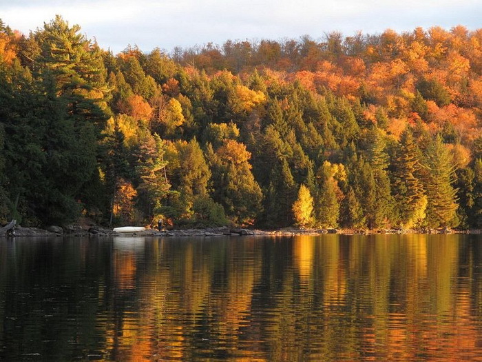 Осенние пейзажи канадского парка Алгонквин