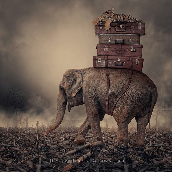 Ленивый турист. Фотоиллюстрация от румынского художника Караса Йоната (Caras Ionut)
