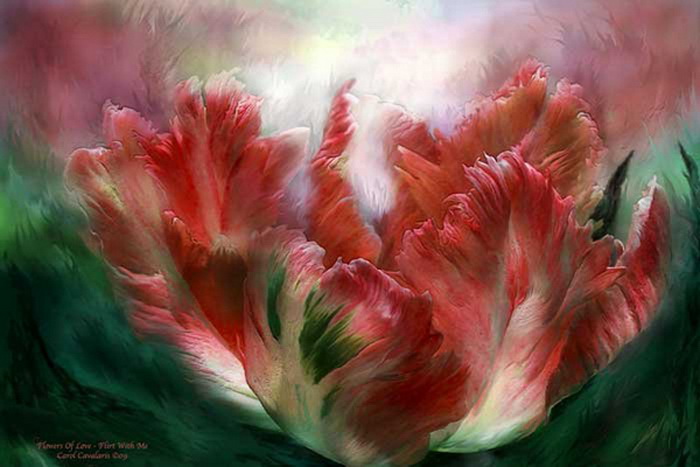 Цветы на рисунках Кэрол Каваларис (Carol Cavalaris)