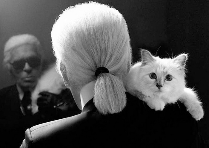 Карл Лагерфельд и его любимая кошка Choupette