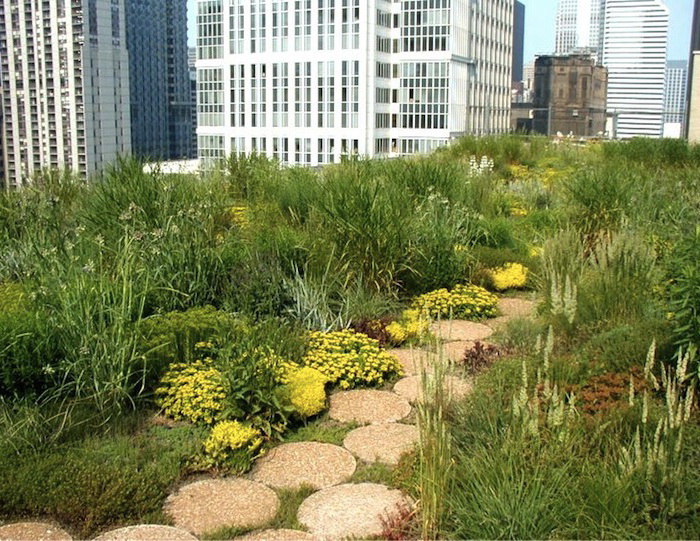 Крыша City Hall в Чикаго - островок зелени в бетонном море