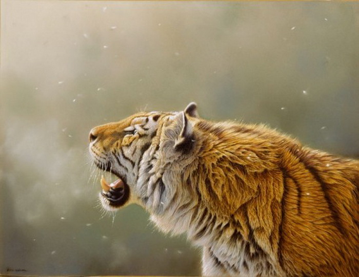 Эрик Уилсон рисовал тигров в Непале