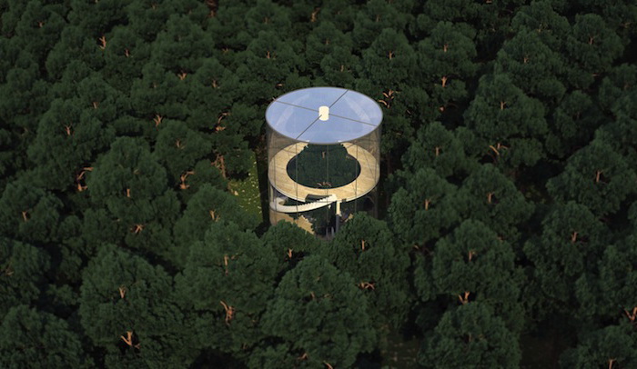 Дом в еловом лесу
