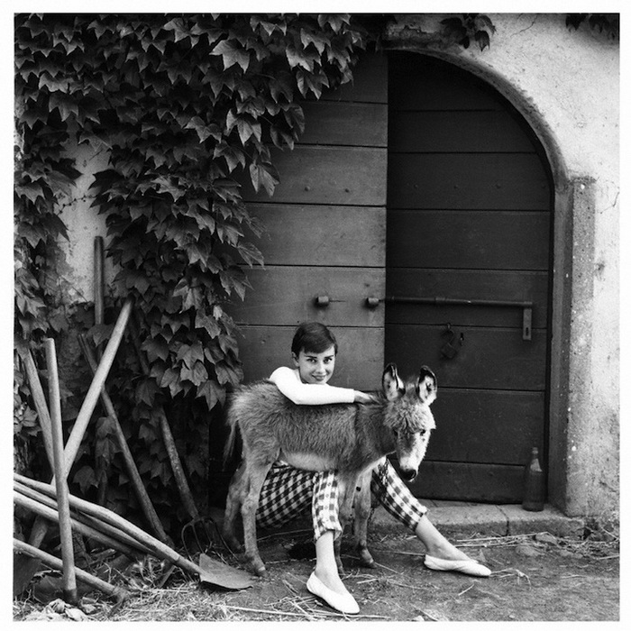Раритетные фотопортреты Одри Хепбёрн. Фотограф Норман Паркинсон, 1955 г.