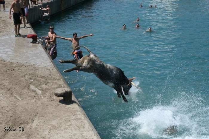 Картинки по запросу бык падает вниз