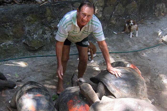 Гигантские черепахи, которых разводит Брендон Гримшоу на необитаемом острове