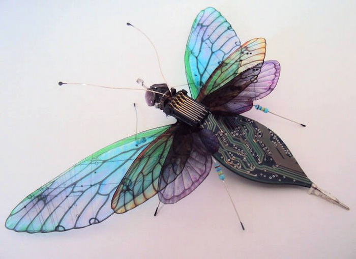 Очаровательные миниатюрные бабочки. Работы Джулии Элис Чаппелл (Julie Alice Chappell)