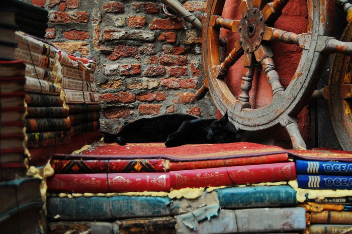 Необычная библиотека в Венеции: книги хранятся в гондолах на случай наводнения