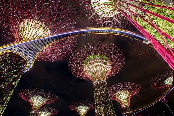 Роща Gardens by the Bay в Сингапуре: железные деревья и световое шоу