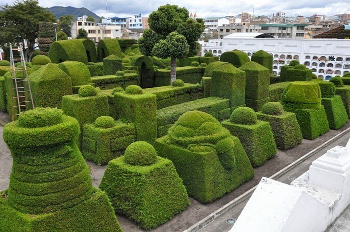 Разнообразные живые скульптуры