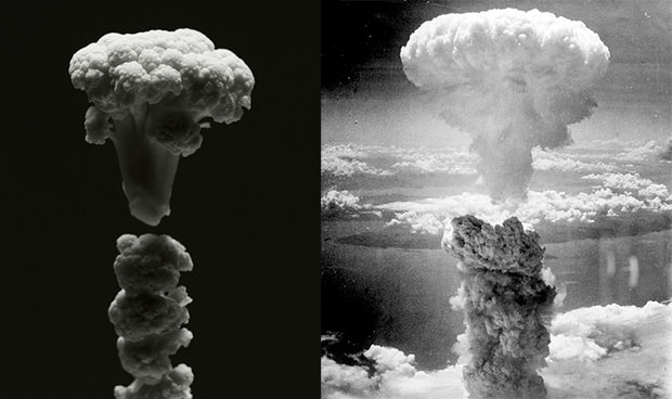 Атомный взрыв в Нагасаки.Мировые катастрофы в исполнении цветной капусты  вy Brock Davis.