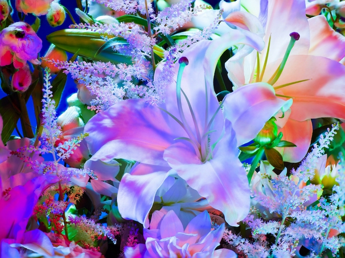 Torkil Gudnason � �������