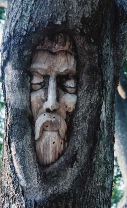 http://www.kulturologia.ru/files/u15094/keith-jennings-tree-7.jpg