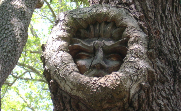 http://www.kulturologia.ru/files/u15094/keith-jennings-tree-9.jpg