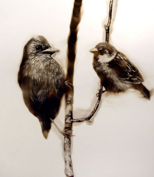 В последней серии своих картин, Bird series, Спазук даже использовал настоящие перья птиц для более детальной прорисовки пернатых