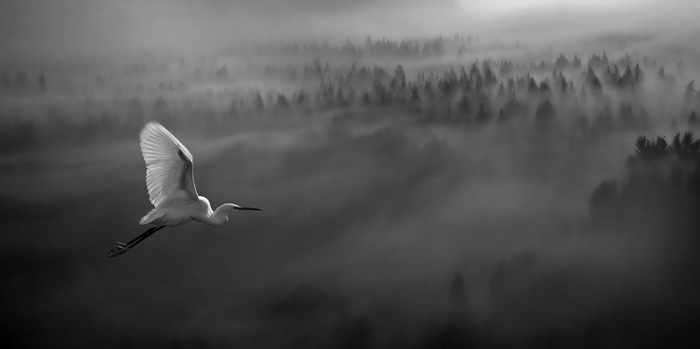 Снимки с высоты птичьего полета от фотографа Matjaz Cater