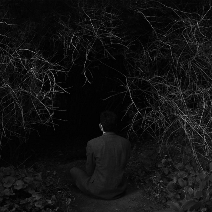 Произведения Ben Zank 