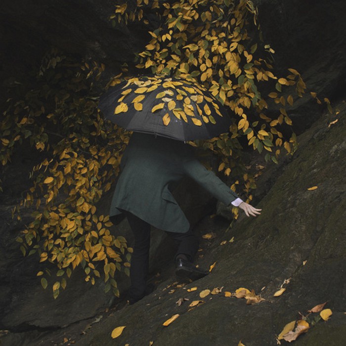 Ben Zank: мир в необычном цвете 