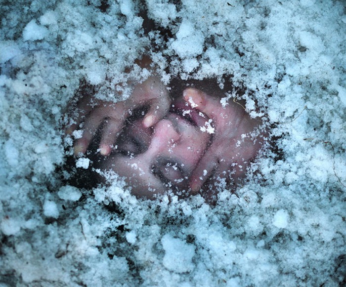 Фотографии Ben Zank