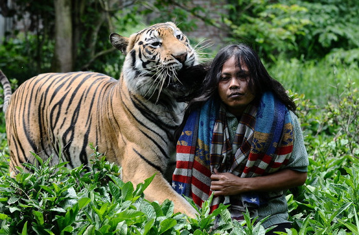 Дружба юноши с тигром.