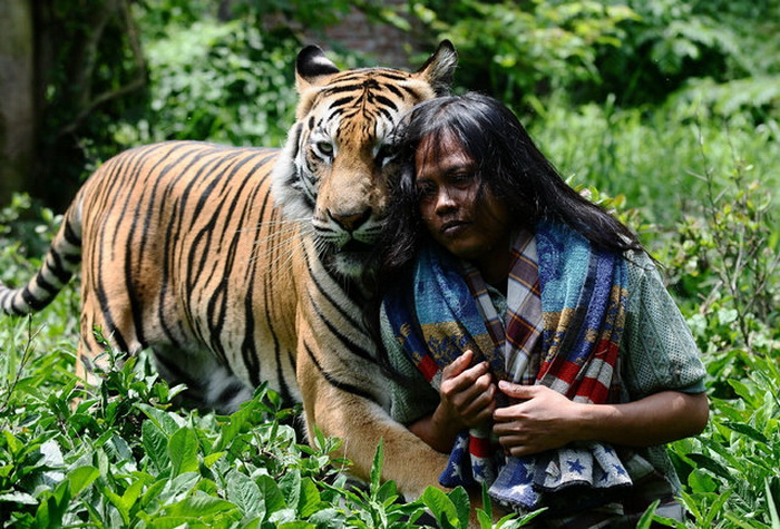 Abdullah Sholeh со своим тигром