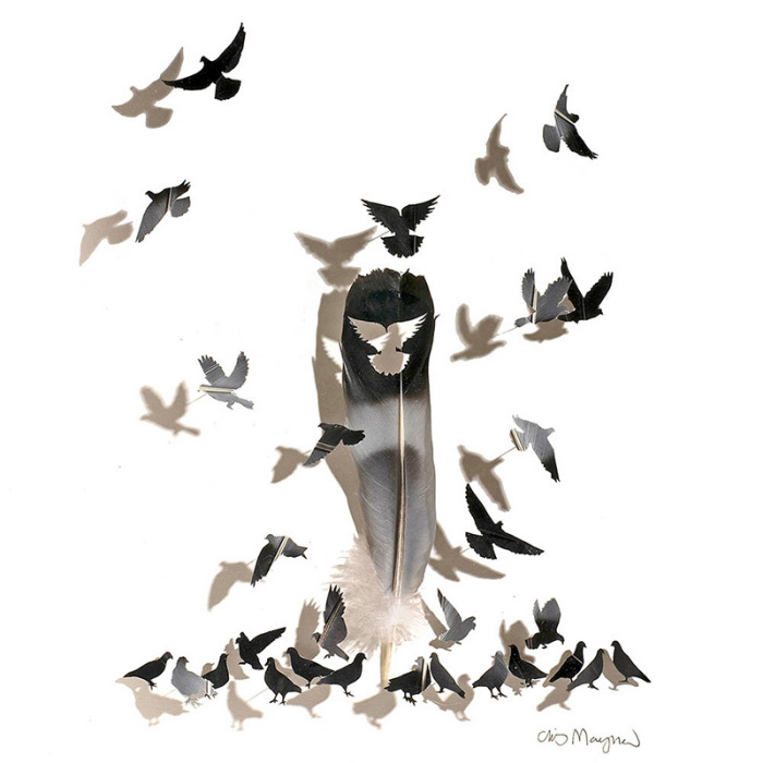 ������� ���������� ��������� �� ���� ����� � ����.