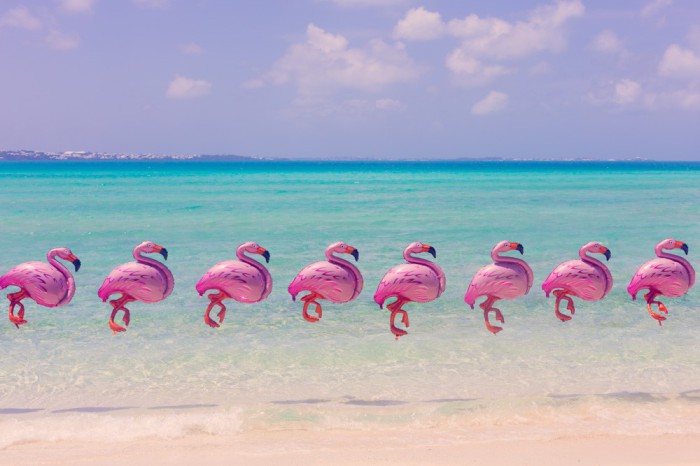 Розовые фламинго на фоне потрясающего пейзажа.