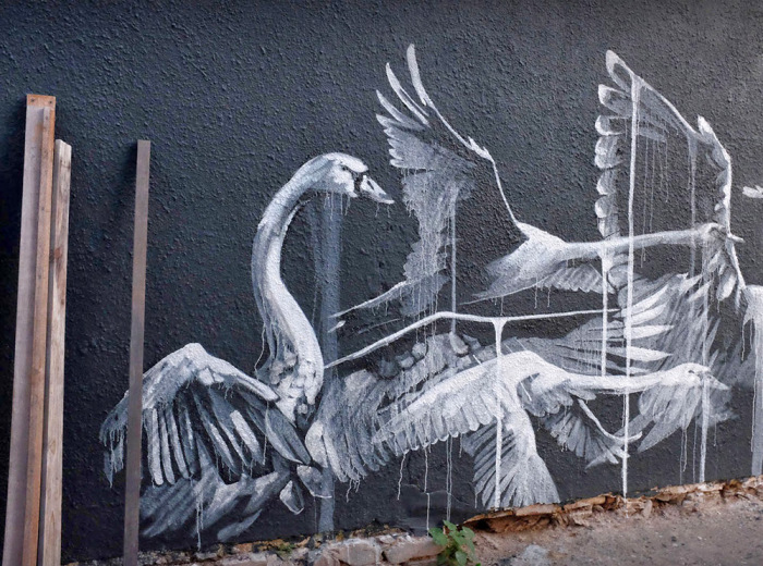 Изображения лебедей от Faith47. Изображения лебедей от Faith47.