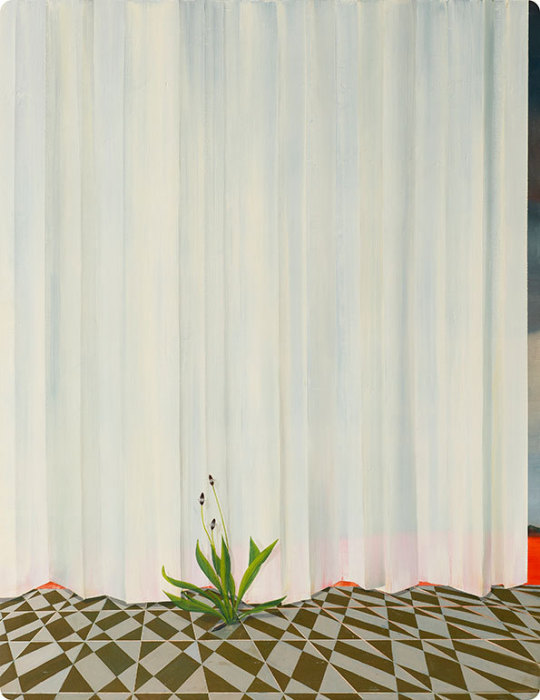 Небольшой росток на фоне белых штор в работе Мари Роузен (Marie Rosen). 