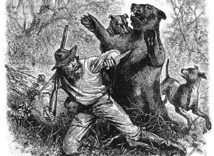 Хью Гласс подвергается нападению медведицы. Иллюстрация из газеты 1823 года.