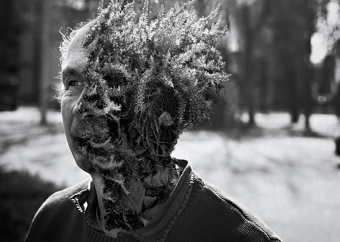 Сюрреалистический снимок. Сюрреалистический снимок.