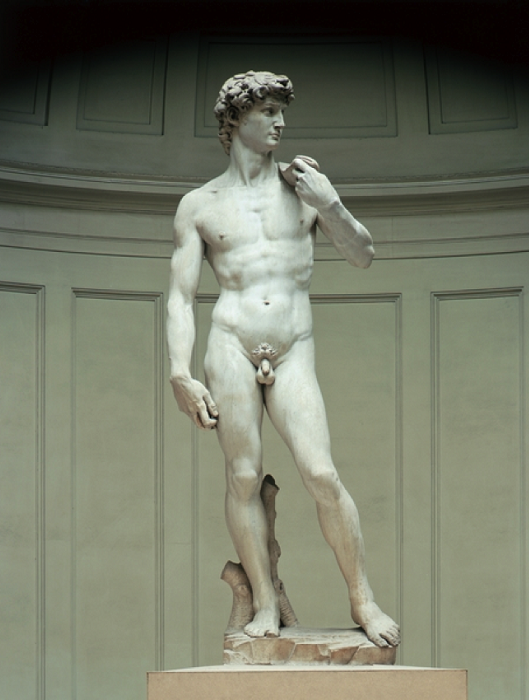«Давид». Микеланджело Буанаротти, 1501-1504 гг. | Фото: classconnection.s3.amazonaws.com.