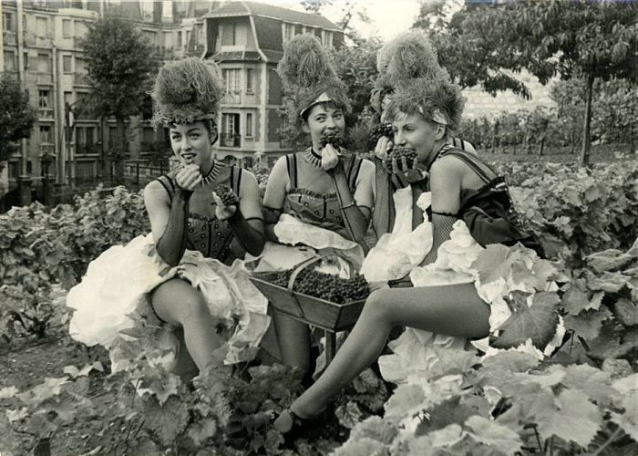 Танцовщицы из Мулен Ружа на фестивале вина в 1952 году.