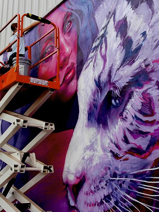 Процесс создания изображения. Процесс создания изображения.