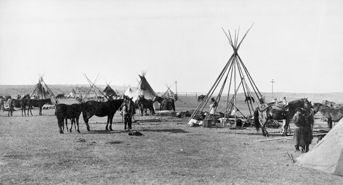 Передвижной лагерь племени Сарси около Калгари, 1887 г.  Автор фото: Alex Ross.