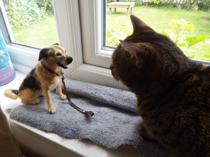 Войлочная собака встречает живого кота.