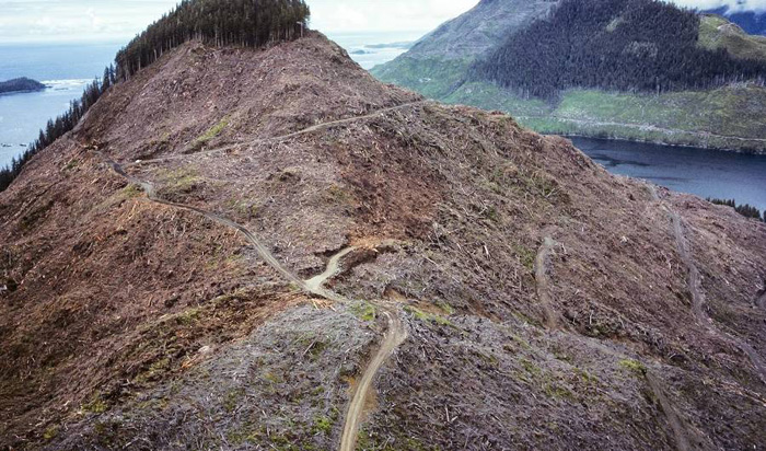 Остров Ванкувер, Канада.