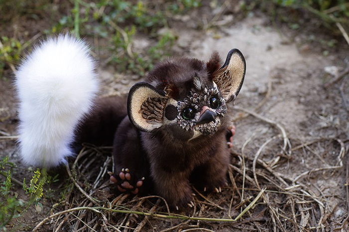 Пушистый хвост. Автор: Santaniel.