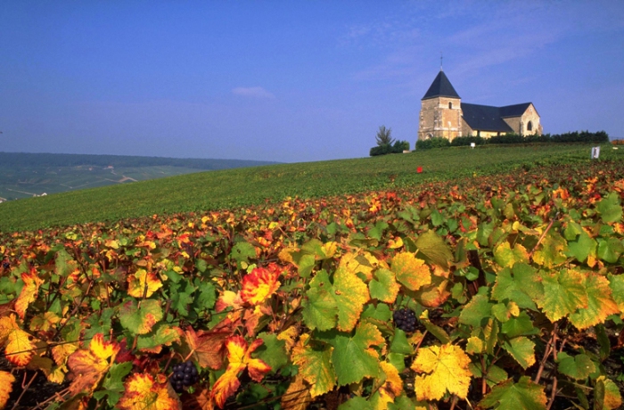 Область Шампань. Франция. Область Шампань. Франция.