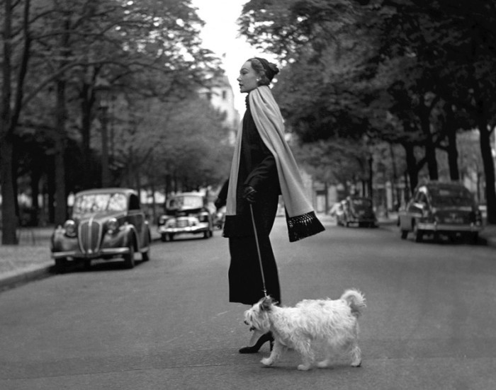   . : Georges Dambier.