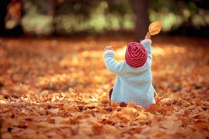 Осеннее удовольствие доставляет ребятишкам игра с опавшими листьями.